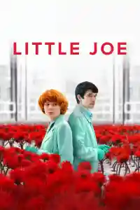Affiche de Little Joe