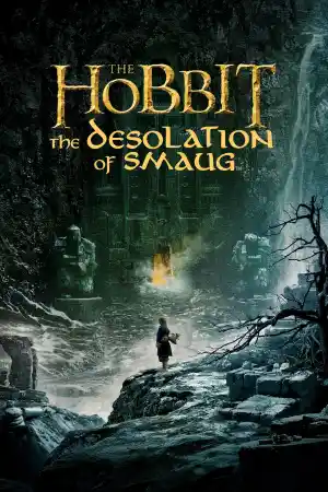 Affiche de Le Hobbit : La Désolation de Smaug