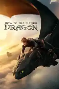 Affiche de Dragons