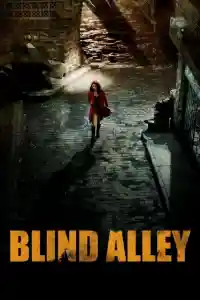 Affiche de Blind Alley