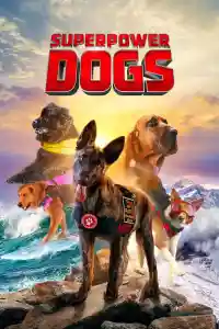 Affiche de Superpower Dogs