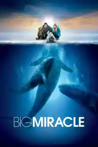 Affiche de Miracle en Alaska