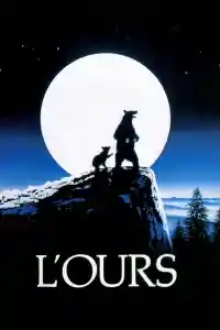 Affiche de L'Ours