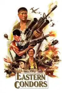 Affiche de Eastern Condors