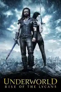 Affiche de Underworld 3 : Le Soulèvement des lycans
